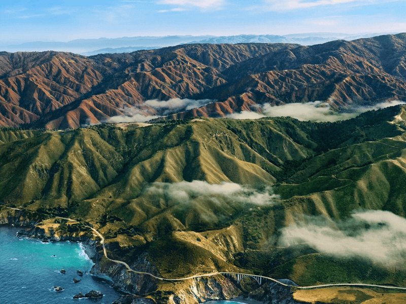 Search tabs and tab groups in session